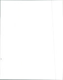 1991 Pontiac Firebird - Vintage Photograph