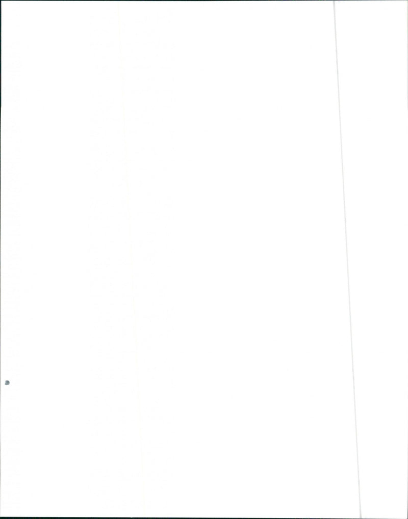 1991 Pontiac Firebird - Vintage Photograph