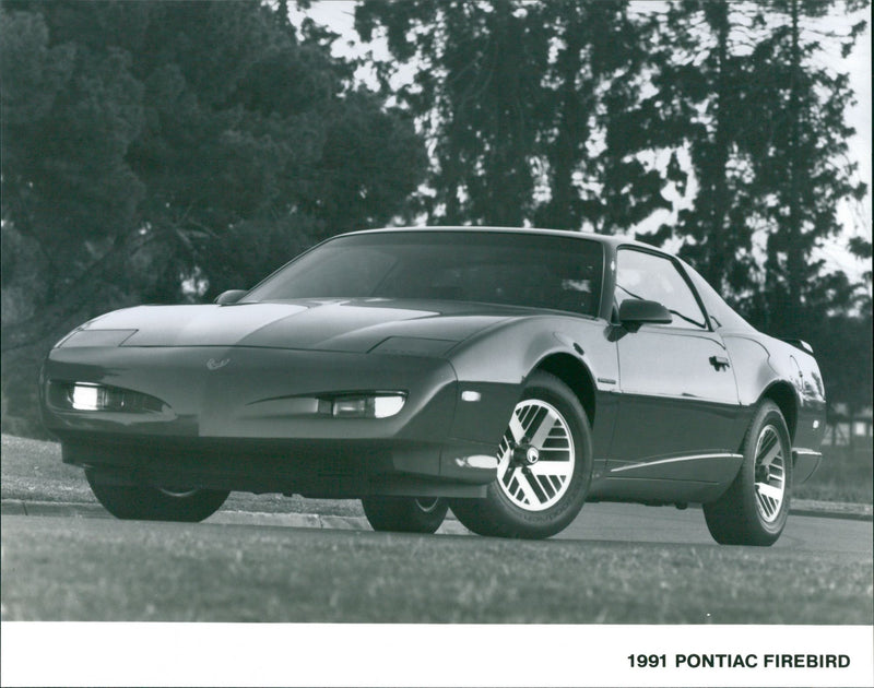 1991 Pontiac Firebird - Vintage Photograph