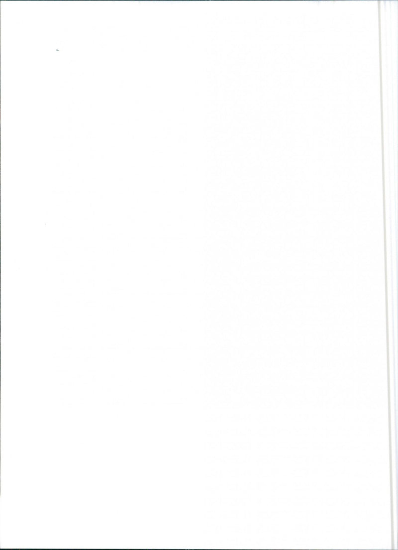 Lancia Y10 fire - Vintage Photograph