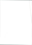 Lancia Y10 fire - Vintage Photograph