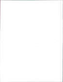 1996 Buick Century Special Wagon - Vintage Photograph