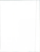 1968 Fiat 124 and 1968 Fiat 124 Special - Vintage Photograph