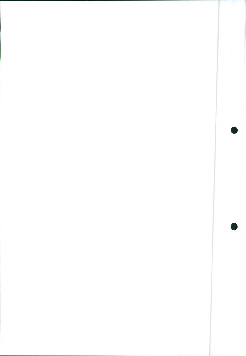 Mitsubishi Space Runner, 1991 Layout - Vintage Photograph