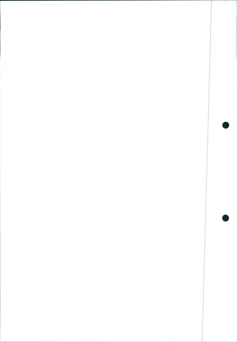 Mitsubishi Space Runner, 1991 Layout - Vintage Photograph