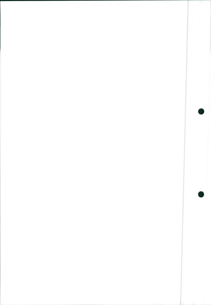 Mitsubishi Space Runner, 1991 Layout - Vintage Photograph