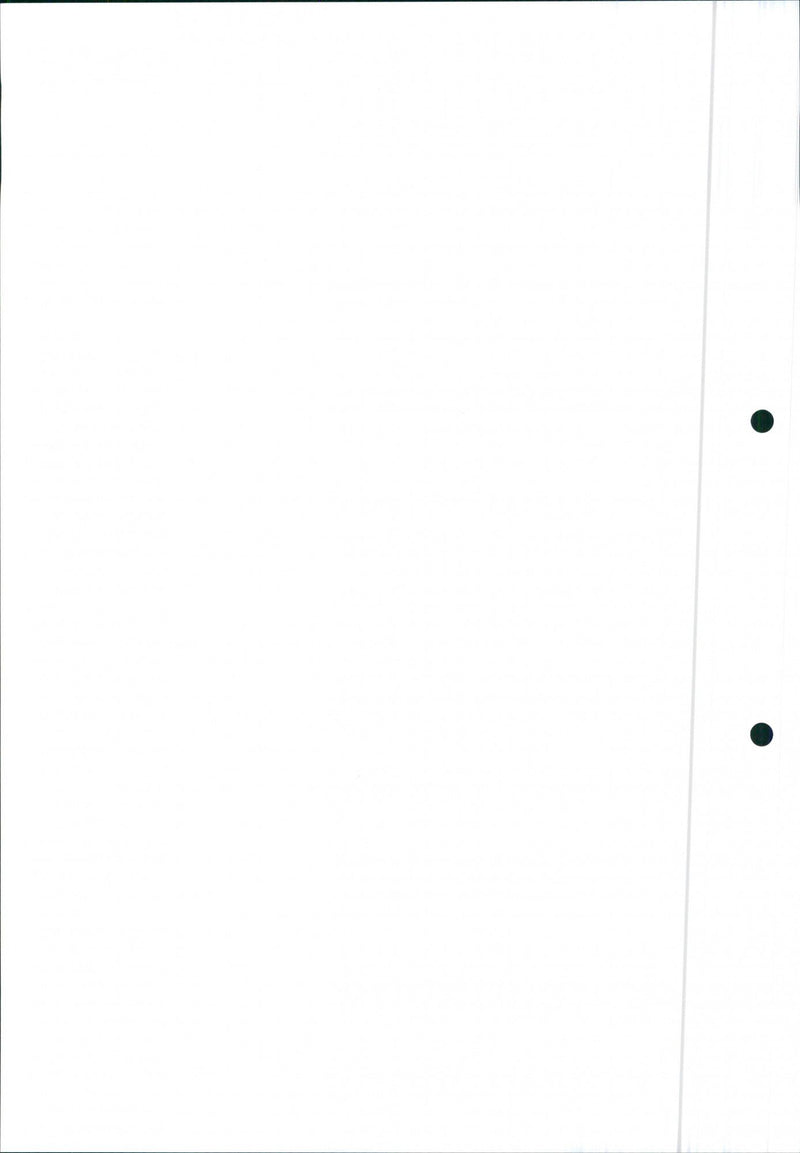 Mitsubishi Space Runner, 1991 Layout - Vintage Photograph