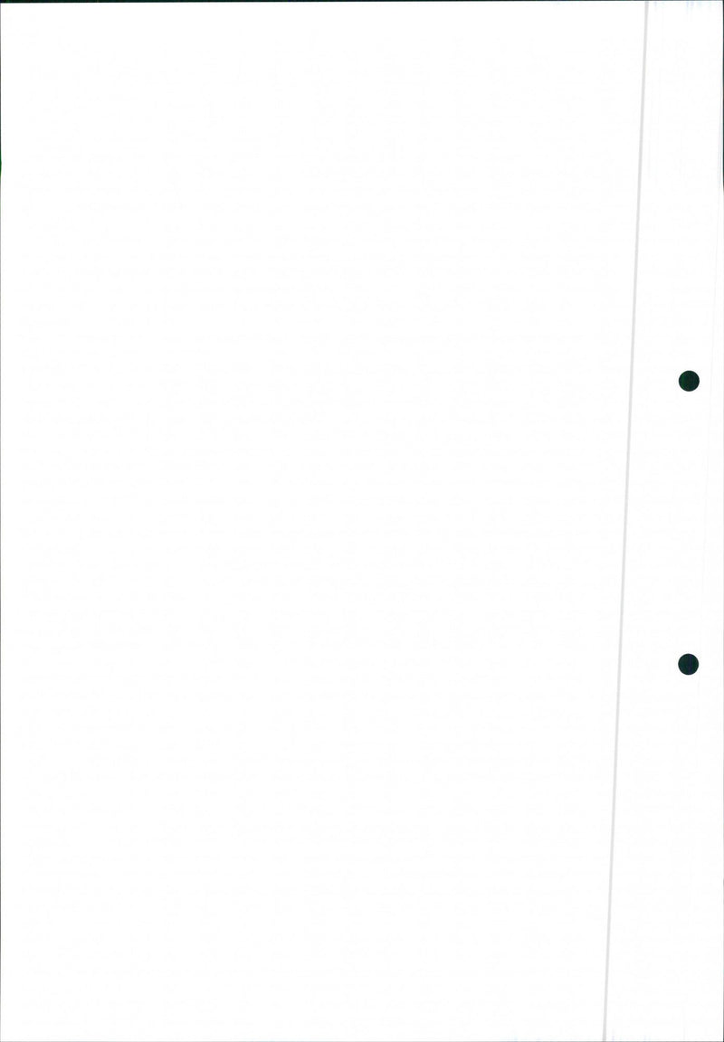 Mitsubishi Space Runner, 5-gang manual transmission, 1991 - Vintage Photograph