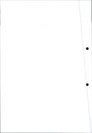 Mitsubishi Space Wagon - Vintage Photograph