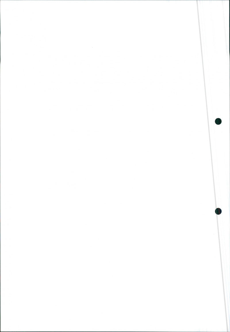 Mitsubishi Space Wagon - Vintage Photograph