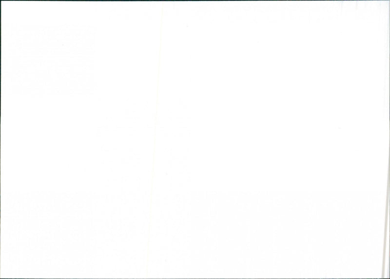 1992 CITROEN ZX VOLCANE - Vintage Photograph