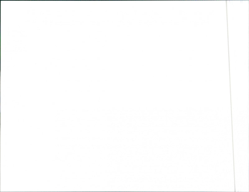 2001 Land Rover Freelander 1.8i - Vintage Photograph