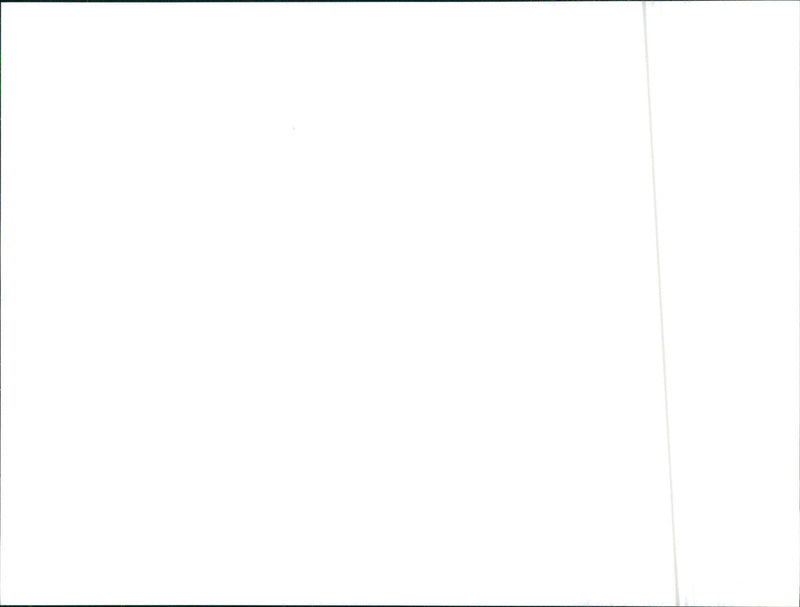 1989 Lancia Delta HF Rallye turbo i.e. Kat - Vintage Photograph