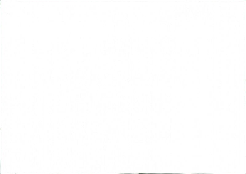 MUSICIAN ROBERT FESTIVAL SERIES - Vintage Photograph