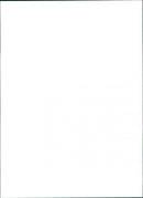 Peugeot 106 Diesel - Vintage Photograph