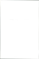 PARIN PLANT SCOP POPUTH CERRA - Vintage Photograph