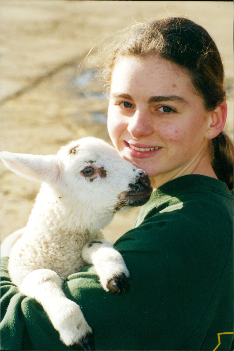 St Albans - Vintage Photograph