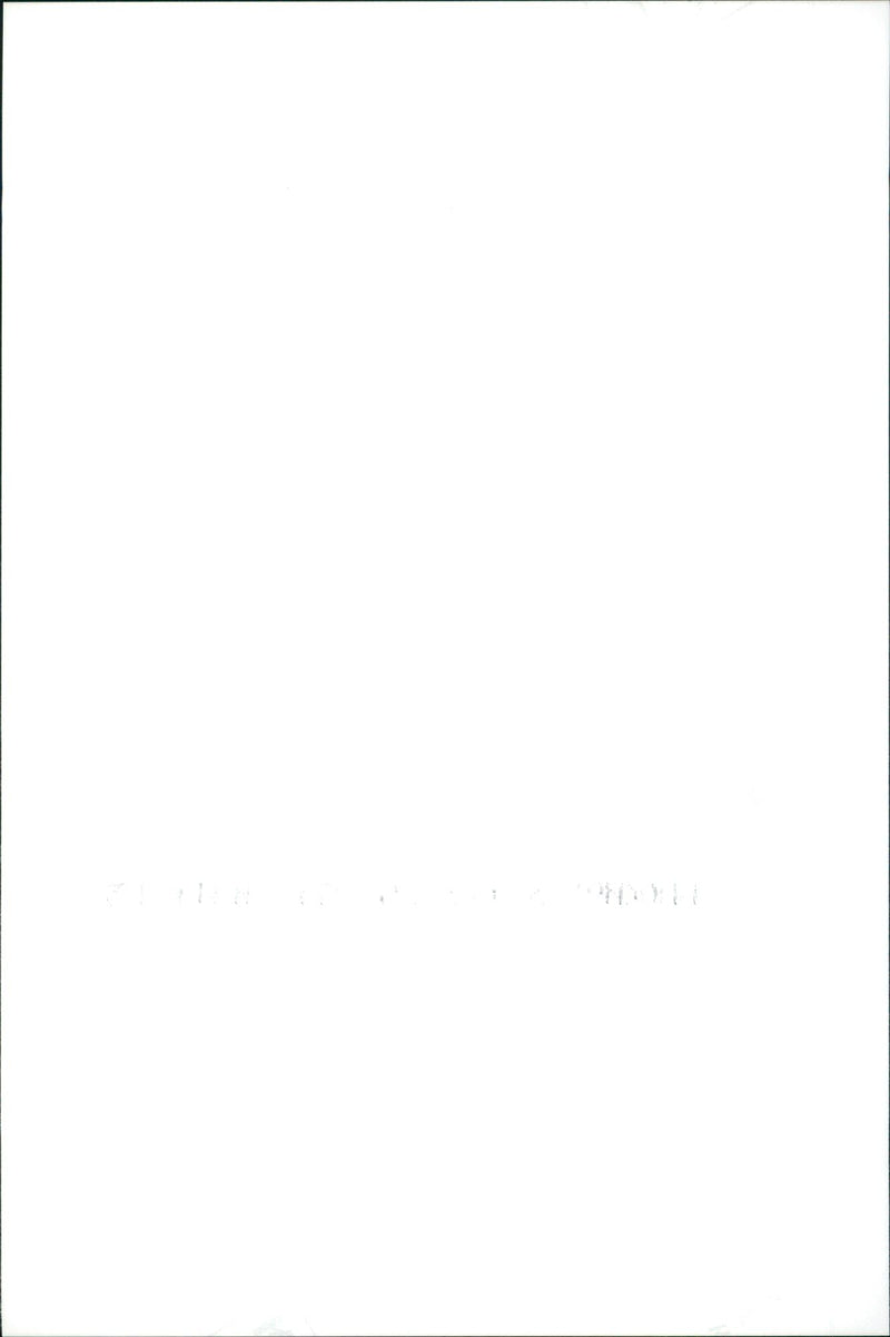 Dynamite Musician - Vintage Photograph