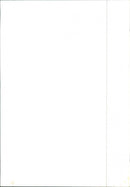 Alfa Romeo Alfa 6 injection - Vintage Photograph