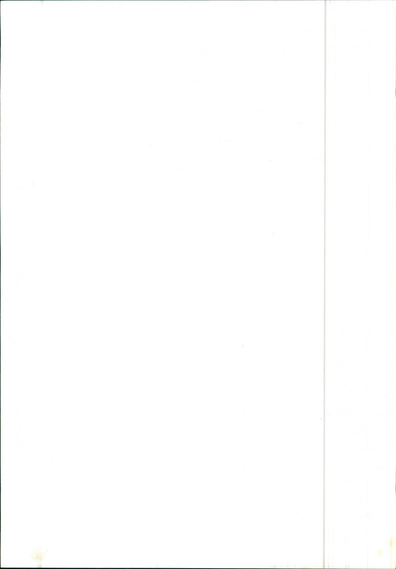 Alfa Romeo Alfa 6 injection - Vintage Photograph