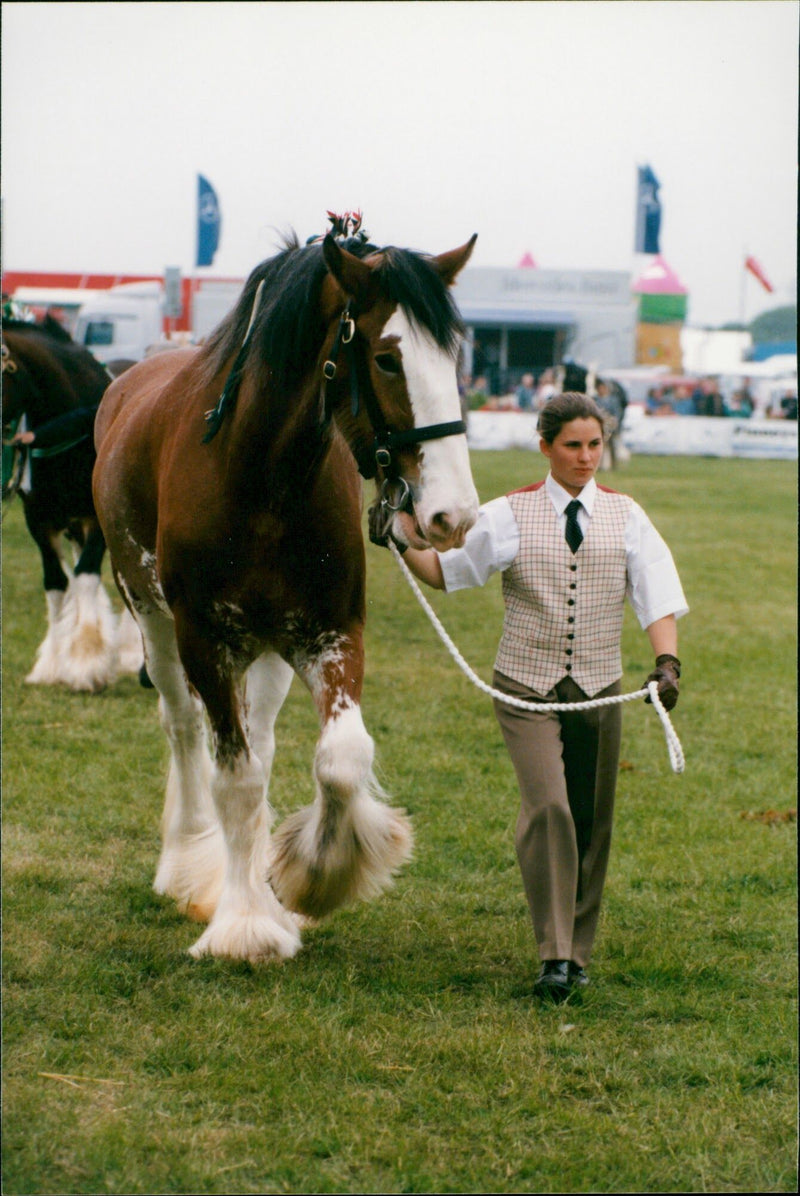 o SCOP POPUTH CERRA - Vintage Photograph