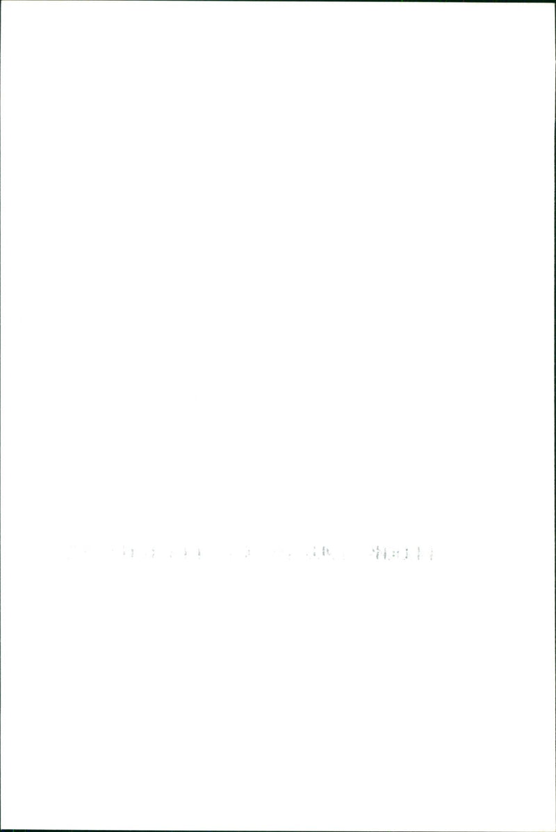 Boys' Brigade Fair - Vintage Photograph