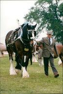 JACK UPER SCOP POPUTH CERRA - Vintage Photograph