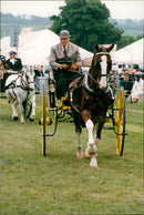 SCOP POPUTH CERRA - Vintage Photograph