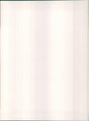 Peugeot 205 GTI - Vintage Photograph