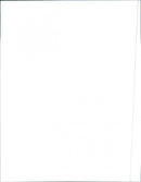 1997 Buick LeSabre Custom - Vintage Photograph