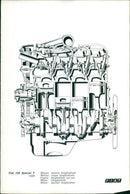 Fiat 124  Special T 1600 - Vintage Photograph