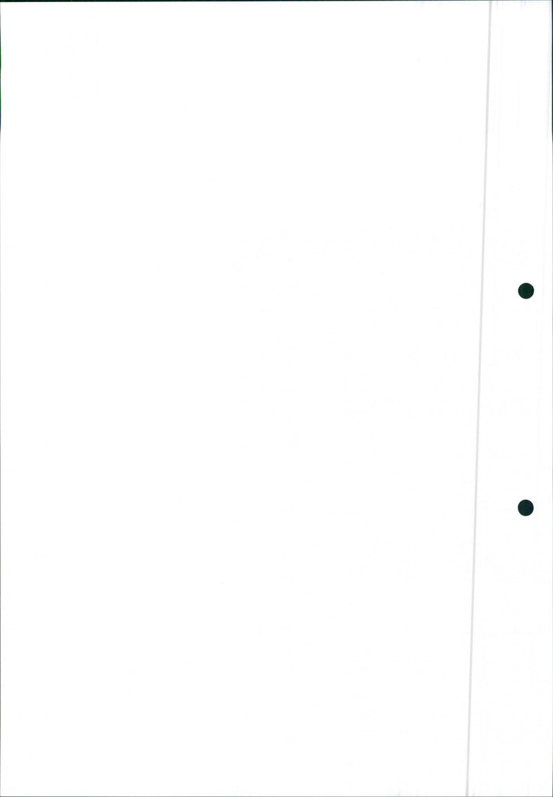 Mitsubishi Space Runner - Vintage Photograph