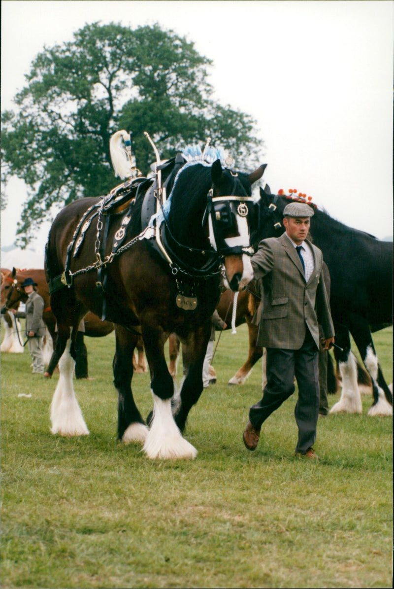 ( S SCOP POPUTH CERRA - Vintage Photograph