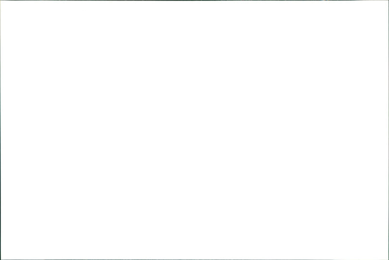 MODEL DAUGHTER - Vintage Photograph