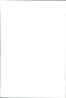 Boy scouts - Vintage Photograph