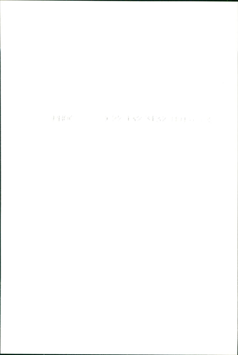 Boy scouts - Vintage Photograph