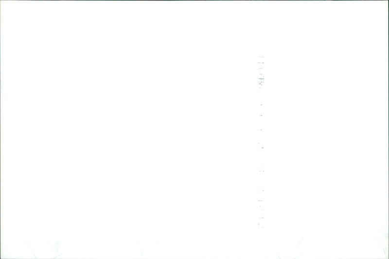 Dynamite Musician - Vintage Photograph