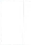 Renault 9 - Vintage Photograph