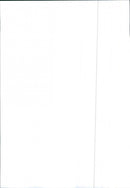 Renault 9 - Vintage Photograph