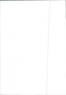 Renault 9 - Vintage Photograph