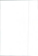 Renault 9 - Vintage Photograph