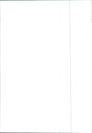 Renault 9 - Vintage Photograph