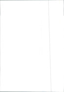 Renault 9 - Vintage Photograph