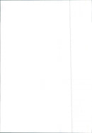 Renault 9 - Vintage Photograph