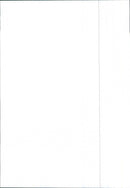 Renault 9 - Vintage Photograph