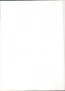 Peugeot 305 Break - Vintage Photograph