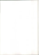 Peugeot 505 GR - Vintage Photograph