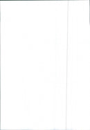 Renault 9 TSE - Vintage Photograph