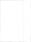 1977 Dodge Omni - Vintage Photograph