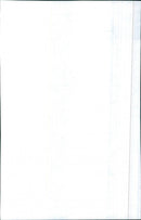 Peugeot 505 - Vintage Photograph